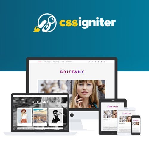 CSS-Igniter-Brittany-WordPress-Theme.jpg